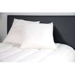 Lot de 2 oreillers confortables et anti-acariens 60x60 cm DODO