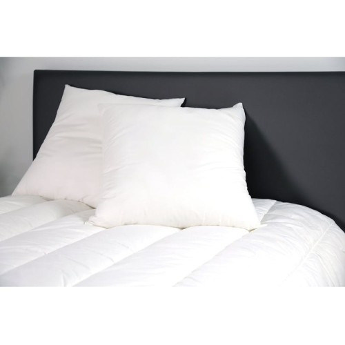 Lot de 2 oreillers confortables et anti-acariens 60x60 cm DODO