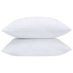 Lot de 2 oreillers 60x60 cm DODO CONFORT MOELLEUX