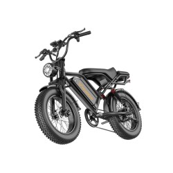 Vélo électrique bk20 750w - pneus 20 - autonomie 80km, freins à disques, suspensions avant et arrière